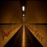 Fecc - Awakening