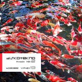Bagagee Viphex13 livemix - Diskotekno mixbox vol2 - 20111012 trippinlounge