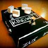 WIIO clone demo with Humbuckers