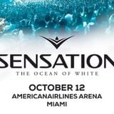 Fedde Le Grand - Live @ Ocean Of White Sensation (Miami) 2013.10.12.