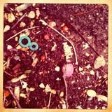 Found Tape 2007 - Side B