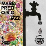 Mare prezioso // Timmerman X Darlin #22
