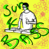 Sun & Bass 2013 - pre pre mode