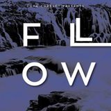 Come Correct Presents - Reverin - Flow Promo Minimix