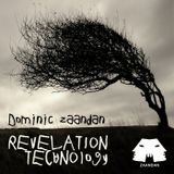 Dominic Zaandan - Revelation Technology