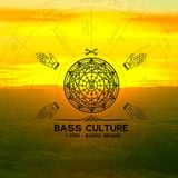 Docta Roots - From The Vaults - Best Of 2010 on Bass Culture Radioshow // LYON