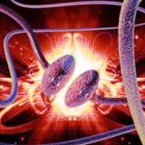 synaptogenesis vi - ecphoria