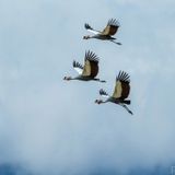 Air - Piano, Modern Classical, for Study, Crying, Sleeping