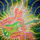 The Psychedelic Grooves