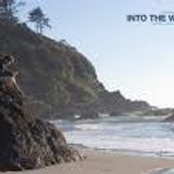 Into The Wild Summer Mix #03 Part. 1 (20/07/2011) Radio Dijon Campus