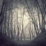 Fitn - Home Mix #9 Ambient/Minimal/experimental