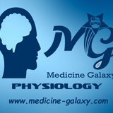 Endocrine-Part2-Physiology-Dr.Ahmed Mostafa