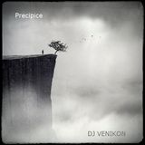DJ Venikon - The Great Recession