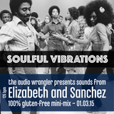 Soulful Vibrations