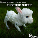 Electric sheep