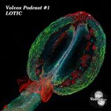 Volvox Podcast #1 - Lotic