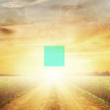 Information Ghetto - Bright Path