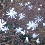 Coastal Waters Review archive 28.11.11. remembering Mark Ryan amongst it all