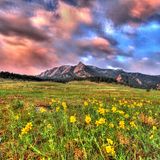 Spring in ma Step - DJ Vangelis' Drum & Bass Mix - 2013