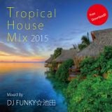 Tropical House Mix 2015