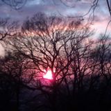 Smoke and Mirrors - Great North Wood