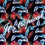 It's torpical vol. 6