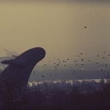 cricks_hANgOvEr_Mix #1