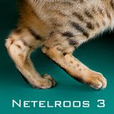 netelroos III