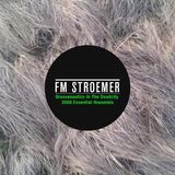 FM STROEMER - Groovenautics In The Deadcity Essential Housemix 2008