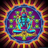 DJ Alienoid- Ceremony of Shiva (Mix Set)