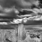 Tundra Forms - Digital Landscapes