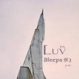 3 - LUV Bleeps - Jedo
