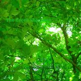 The Green Shimmer - 1hr of Spiralling Grooves