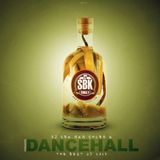 DJ SHUBA K - THE BEST OF 2013 - DANCEHALL