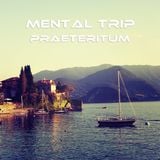 Mental Trip Part 1 - Praeteritum