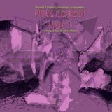 Bruno Mad - Pink Forest vol.1 (Once Upon a Forest Saga)
