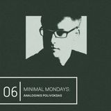 Minimal Mondays | 06 | Analoginis Polivoksas
