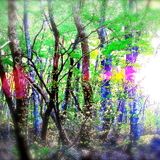 Jungle planet Bong-t morning after mix