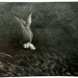 NIGHT OF THE HUNTER PART 2 - Transfigured Night