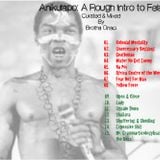 Anikulapo: A Rough Intro To Fela