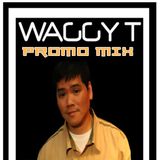 King Waggy Tee Promo Mix June 2012