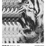 Ritual XIX - Juan Tellez - Auckland