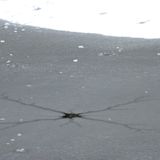 freeze/thaw: a 2012 mix