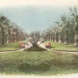 Palm Street