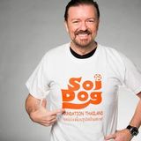 Soi Dog Chat with Alex 17th