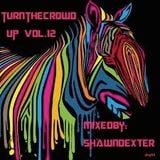 Turn The Crowd Up Vol.12