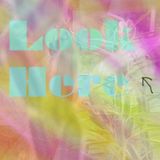 Look Here