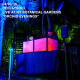 04/09/2016- DEEJAYSOUL, Live at NY Botanical Gardens "Orchid Evenings"