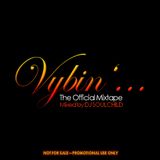 DJ SOULCHILD feat. DJ WAYNE C. McDONALD - Vybin'… (The Official Mixtape) (2007)