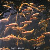 Náyades - Guiyeee